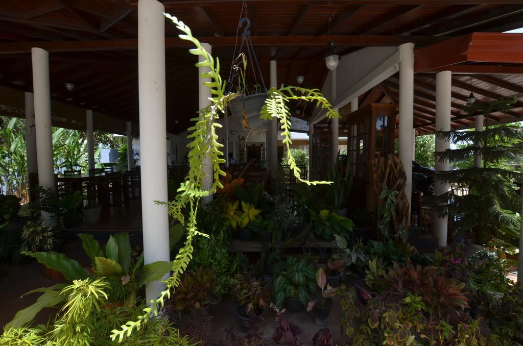 Sihilro Regency Hotel Udawalawe Εξωτερικό φωτογραφία